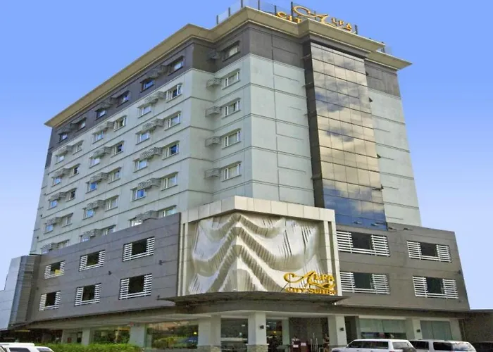 Alpa 4*